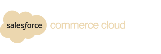 Partner Salesforce Logo